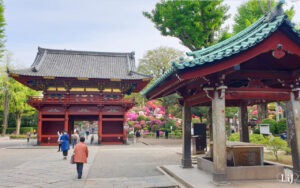Tokyo Nezu Shrine