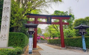 Tokyo Nezu Shrine