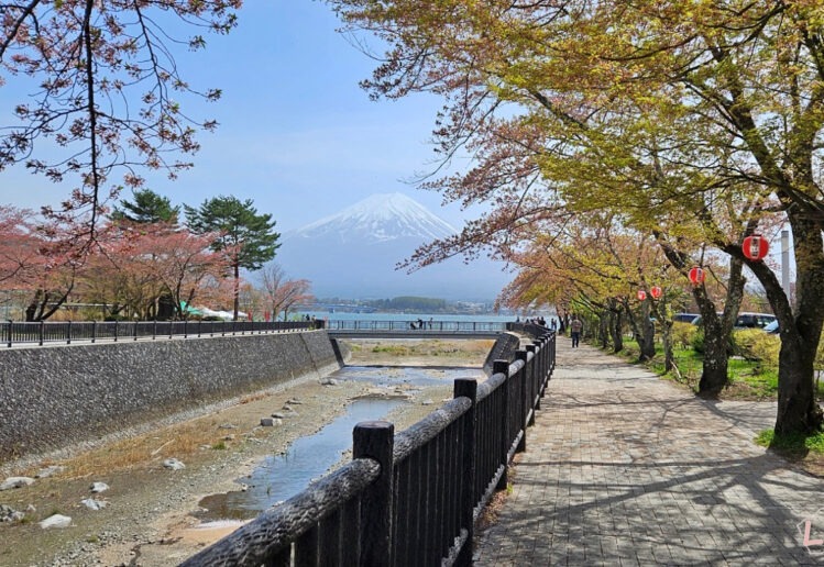 Mount Fuji at Lake Kawaguchiko