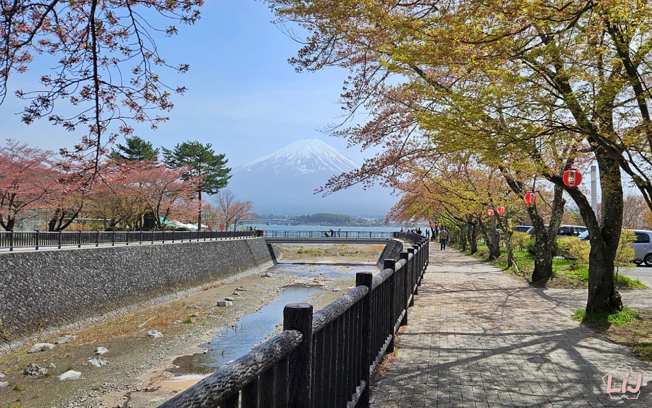 Daytrip to Kawaguchiko to See Mount Fuji (Spring Edition)