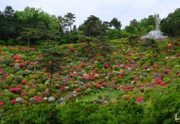 View of Shiofune Kannon Temple