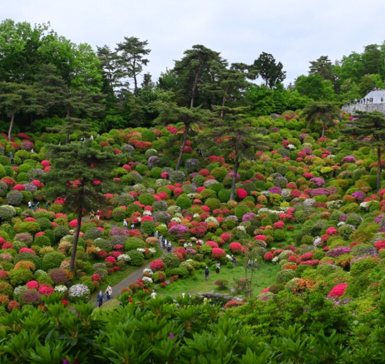 View of Shiofune Kannon Temple